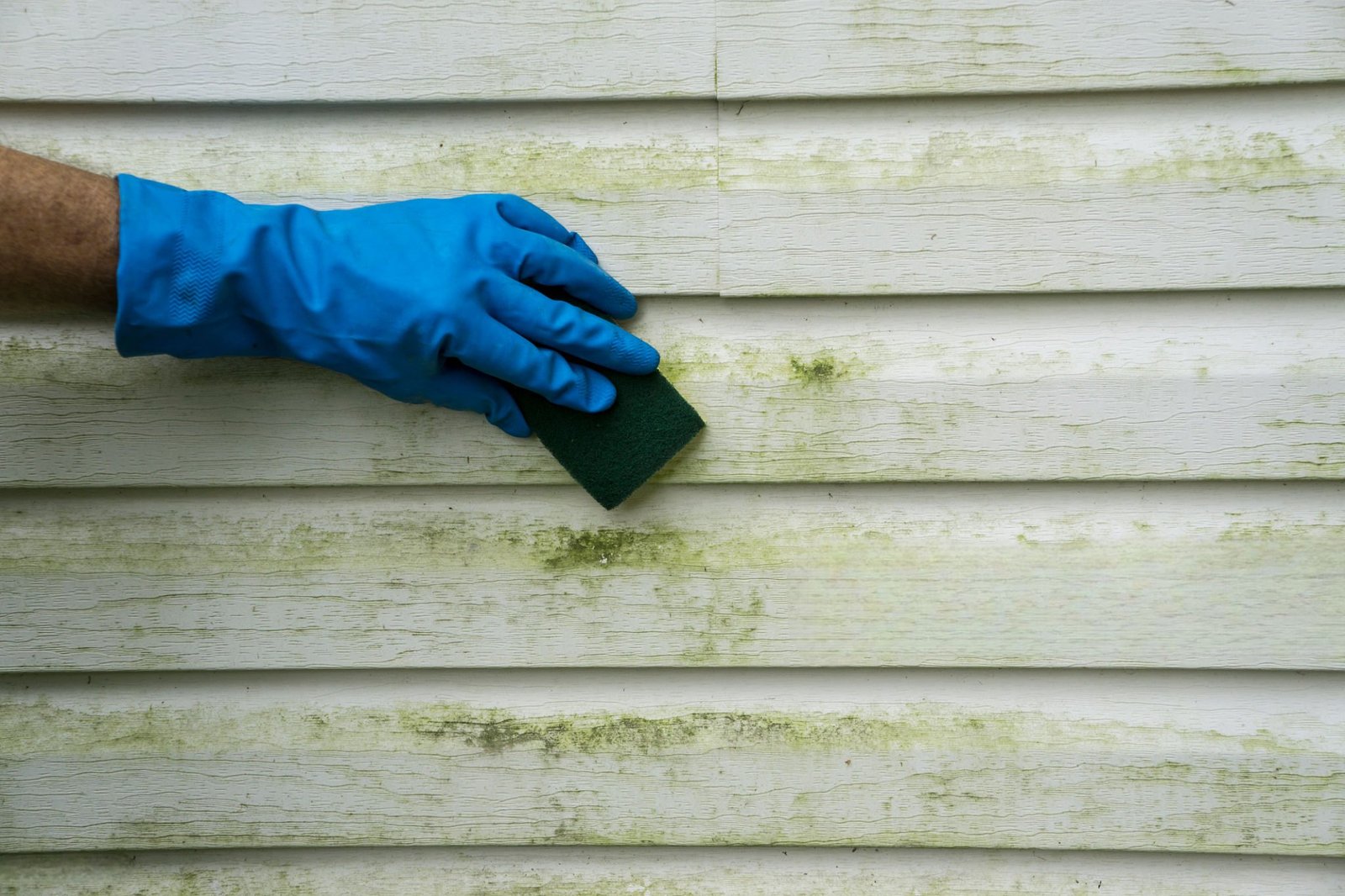 Vinyl Siding Cleaning