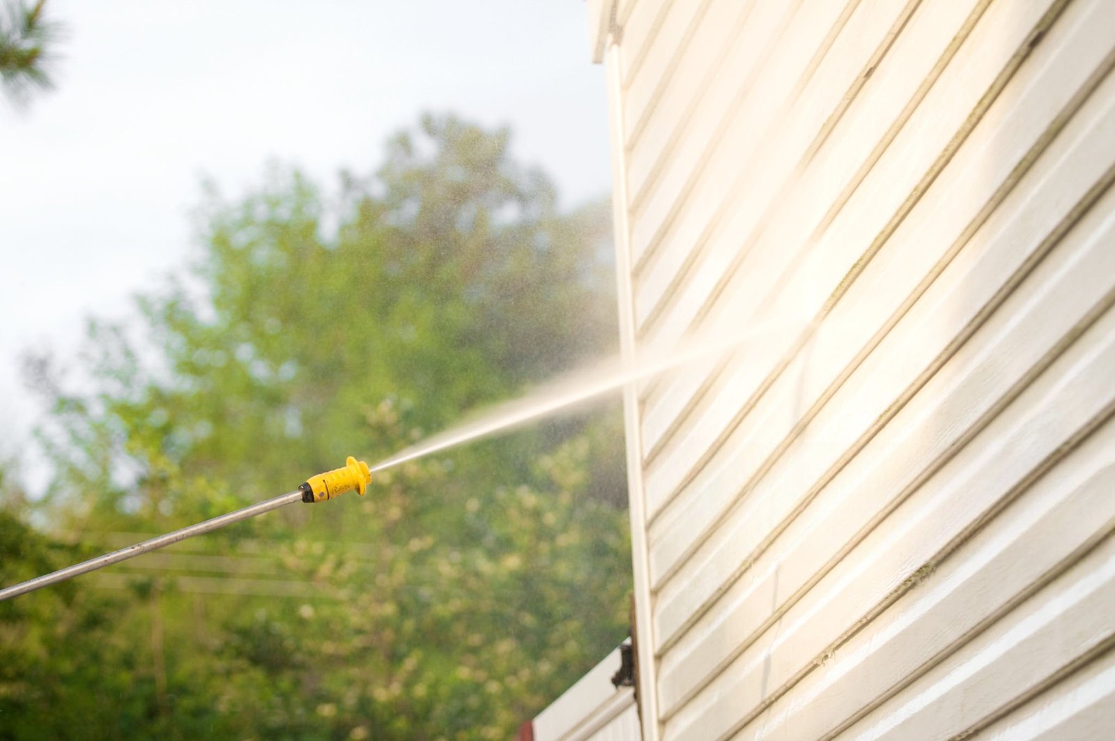 Vinyl Siding Cleaning Service