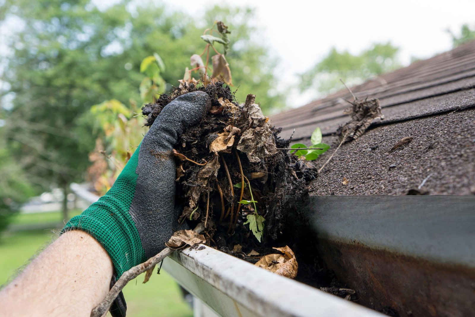 gutter cleaning